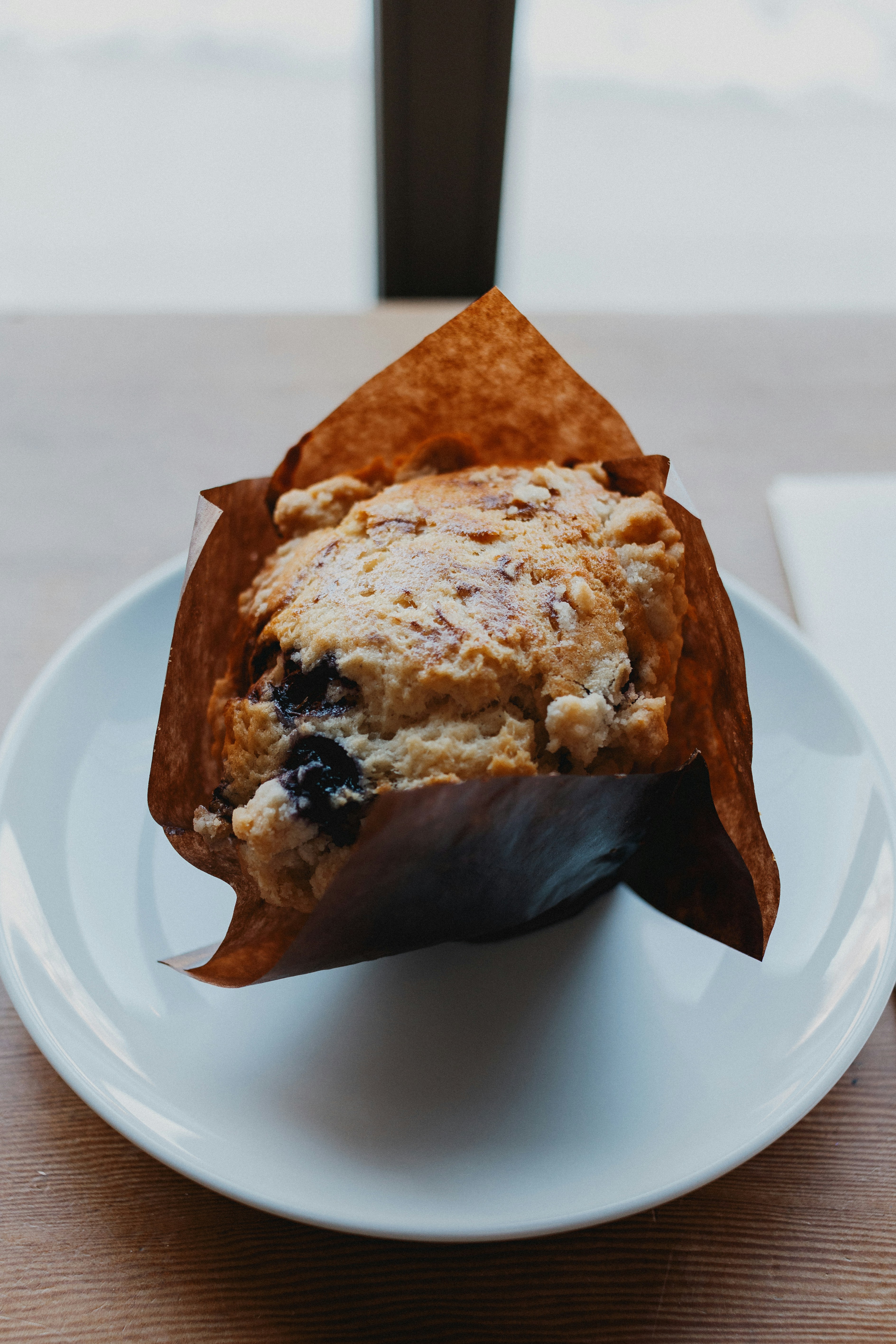 Blueberry Muffin